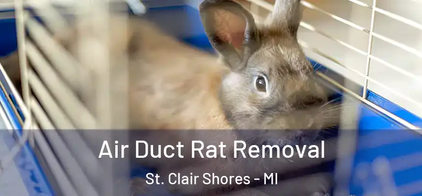  Air Duct Rat Removal St. Clair Shores - MI