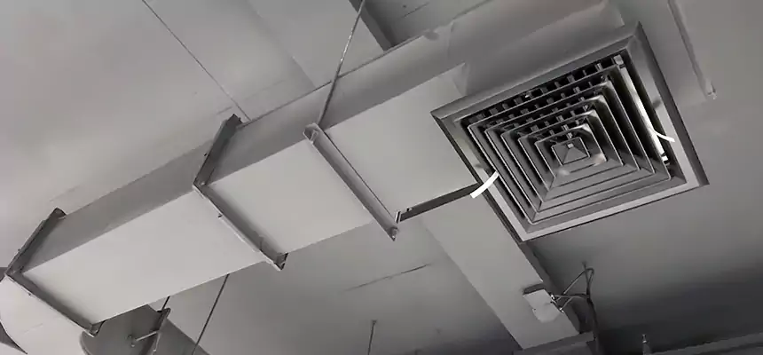 Restorative Allergy Relief Vent Cleaning – Coil, Blower & Housing Detail in St. Clair Shores