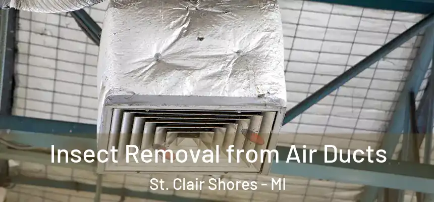  Insect Removal from Air Ducts St. Clair Shores - MI