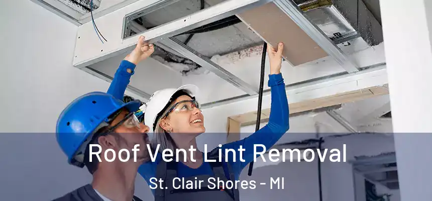  Roof Vent Lint Removal St. Clair Shores - MI