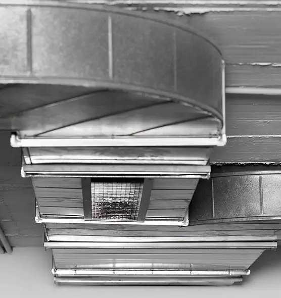 Professional Air Duct Pet Hair Removal in St. Clair Shores, MI