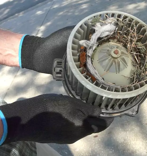 About Air Duct Rat Removal in St. Clair Shores, MI