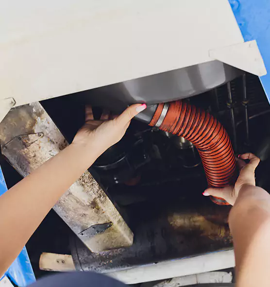 About Air Duct Virus Disinfection in St. Clair Shores, MI