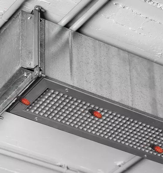 Affordable Insect Removal from Air Ducts in St. Clair Shores, MI