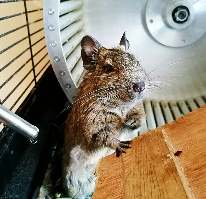 Why Homeowners & Businesses Trust Us St. Clair Shores, MI